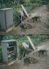 wpe20.jpg (36751 Byte)