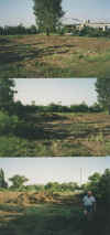 wpe22.jpg (53148 Byte)