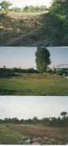 wpe26.jpg (47463 Byte)