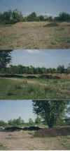 wpe28.jpg (51514 Byte)