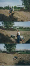 wpe31.jpg (52778 Byte)