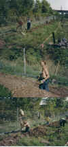 wpe38.jpg (74525 Byte)