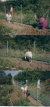 wpe3A.jpg (74119 Byte)
