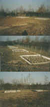 wpe3F.jpg (46900 Byte)