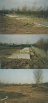 wpe41.jpg (45821 Byte)