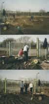 wpe45.jpg (52837 Byte)