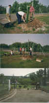 wpeA.jpg (55929 Byte)